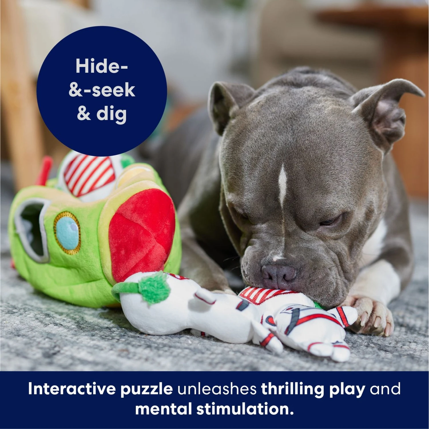 Frisco Holiday Rocket Ship Hide & Seek Puzzle Plush Squeaky Dog Toy 8 Frisco Holiday Rocket Ship Hide & Seek Puzzle Plush Squeaky Dog Toy - Image 6
