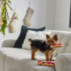 Frisco Holiday Bacon Plush Squeaky Dog Toy, 2 Count 7 Frisco Holiday Bacon Plush Squeaky Dog Toy, 2 Count -Chewy 287143 PT3. AC SS1800 V1632774888