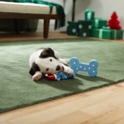 Frisco Blue Bundle Latex Squeaky Puppy Toy, 2 Count 9 Frisco Blue Bundle Latex Squeaky Puppy Toy, 2 Count -Chewy 287185 PT3. AC SS1800 V1632775643