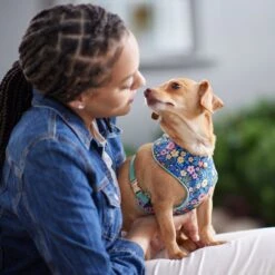 Frisco Fashion Over-The-Head Harness, Tropical Floral 11 Frisco Fashion Over-The-Head Harness, Tropical Floral -Chewy 287476 PT8. AC SS1800 V1632316953