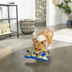 Frisco New Year's Eve 2022 Plush Squeaky Dog Toy -Chewy 288476 PT3. AC SS1800 V1638287927