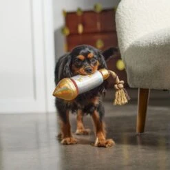 Frisco Firework Plush With Rope Squeaky Dog Toy 7 Frisco Firework Plush With Rope Squeaky Dog Toy -Chewy 288480 PT3. AC SS1800 V1638291301