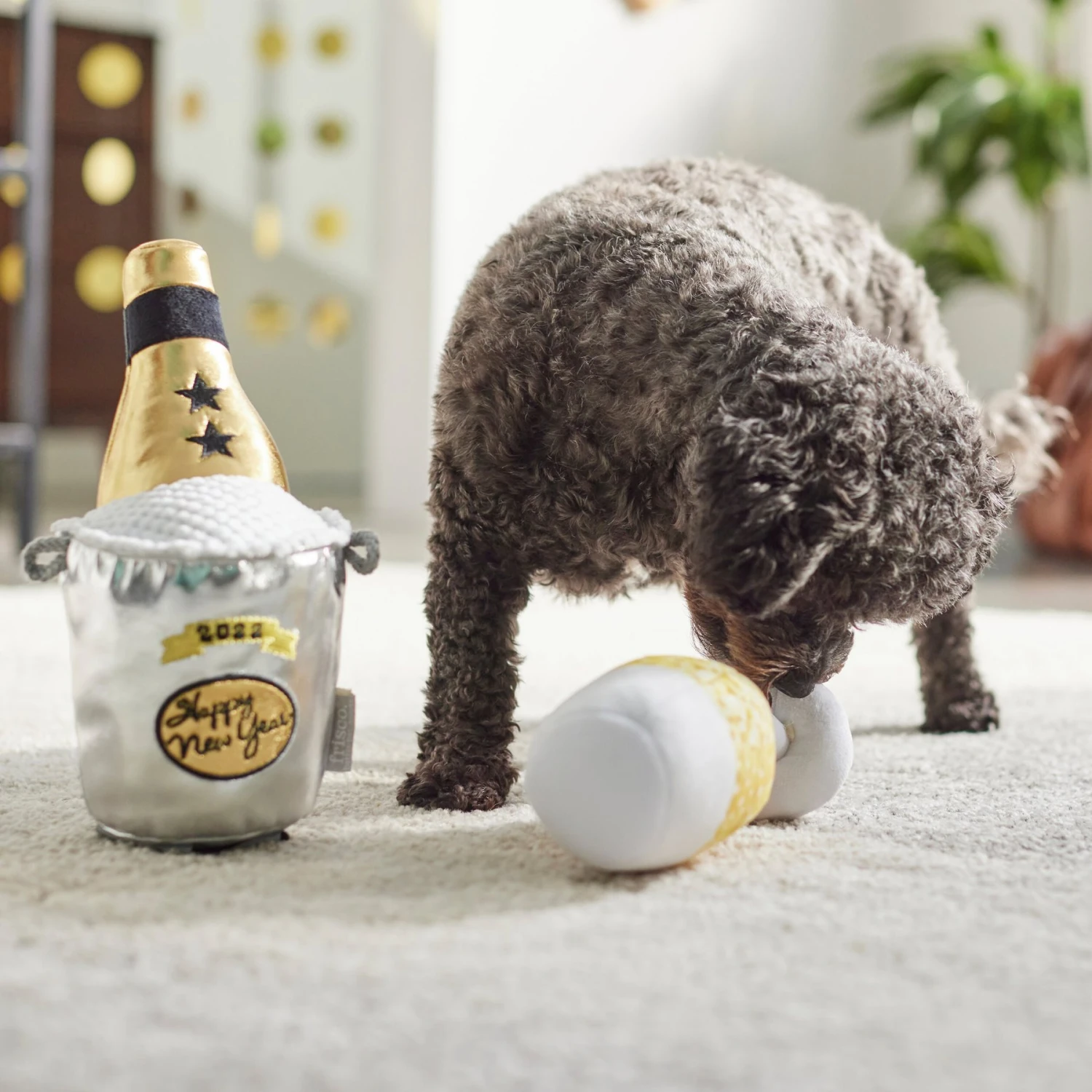 Frisco New Year's Eve Champagne & Flute Plush Squeaky Dog Toy 5 Frisco New Year's Eve Champagne & Flute Plush Squeaky Dog Toy - Image 3