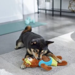 Frisco Fitness Bear Reversible Plush Squeaky Dog Toy 9 Frisco Fitness Bear Reversible Plush Squeaky Dog Toy -Chewy 288897 PT3. AC SS1800 V1638291713