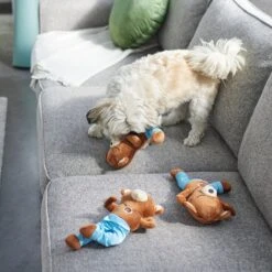 Frisco New Year, New Me Namaste Bear Plush Squeaky Dog Toy 7 Frisco New Year, New Me Namaste Bear Plush Squeaky Dog Toy -Chewy 288905 PT3. AC SS1800 V1638291398