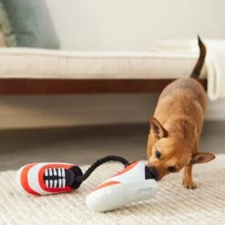 Frisco Running Shoes Plush With Rope Dog Toy 7 Frisco Running Shoes Plush With Rope Dog Toy -Chewy 288915 PT3. AC SS1800 V1638292478