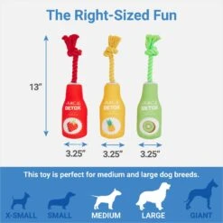 Chewy 16 Chewy -Chewy 288929 PT1. AC SS1800 V1640722486