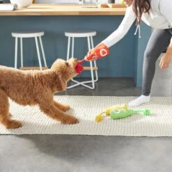 Frisco New Year, New Me Juice Cleanse Plush Squeaky Dog Toy 7 Frisco New Year, New Me Juice Cleanse Plush Squeaky Dog Toy -Chewy 288929 PT3. AC SS1800 V1638289348