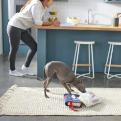 Frisco Cookbooks Plush Squeaky Dog Toy, 2 Count 7 Frisco Cookbooks Plush Squeaky Dog Toy, 2 Count -Chewy 288937 PT3. AC SS1800 V1638287852