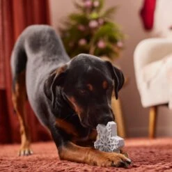 Frisco Holiday Nylon Snowflake Dog Chew Toy, Peanut Butter Flavor, Medium 9 Frisco Holiday Nylon Snowflake Dog Chew Toy, Peanut Butter Flavor, Medium -Chewy 291387 PT3. AC SS1800 V1629306692