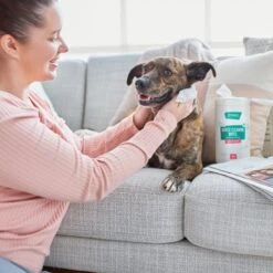 Frisco Gentle Cleaning Waterless Grooming Wipes For Puppies & Kittens, Green Tea Scent -Chewy 291592 PT4. AC SS1800 V1627306695