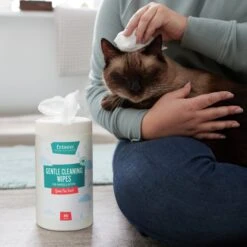 Frisco Gentle Cleaning Waterless Grooming Wipes For Puppies & Kittens, Green Tea Scent -Chewy 291592 PT5. AC SS1800 V1627306905