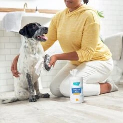 Frisco Deodorizing Paw & Bum Waterless Grooming Wipes For Dogs & Cats 12 Frisco Deodorizing Paw & Bum Waterless Grooming Wipes For Dogs & Cats -Chewy 291593 PT4. AC SS1800 V1627654025