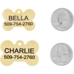 Frisco Brass Personalized Dog ID Tag -Chewy 296191 PT5. AC SS1800 V1628186578