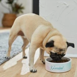 Frisco Watercolors Ceramic Personalized Dog Bowl 11 Frisco Watercolors Ceramic Personalized Dog Bowl -Chewy 296664 PT2. AC SS1800 V1625764663