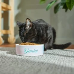 Frisco Watercolors Ceramic Personalized Dog Bowl 12 Frisco Watercolors Ceramic Personalized Dog Bowl -Chewy 296664 PT3. AC SS1800 V1625764646