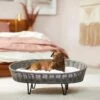 Frisco Elevated Rectangle Wicker Dog & Cat Bed With Eyelash Faux Fur Cushion 2 Frisco Elevated Rectangle Wicker Dog & Cat Bed With Eyelash Faux Fur Cushion -Chewy 296679 MAIN. AC SS1800 V1633727657