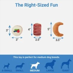 Frisco Brunch Pastry Plate Plush Squeaky Dog Toy 8 Frisco Brunch Pastry Plate Plush Squeaky Dog Toy -Chewy 297262 PT2. AC SS1800 V1643916710