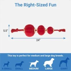 Chewy 6 Chewy -Chewy 298885 PT1. AC SS1800 V1673964150