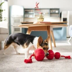 Frisco Lunar New Year Lantern Plush With Rope Squeaky Dog Toy 7 Frisco Lunar New Year Lantern Plush With Rope Squeaky Dog Toy -Chewy 298885 PT3. AC SS1800 V1640269279