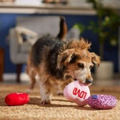 Frisco Valentine Hearts Plush Squeaky Dog Toy 8 Frisco Valentine Hearts Plush Squeaky Dog Toy -Chewy 298919 PT3. AC SS1800 V1701365170