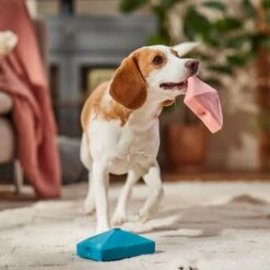 Frisco Valentine Love Letters Latex Squeaky Dog Toy 8 Frisco Valentine Love Letters Latex Squeaky Dog Toy -Chewy 298925 PT3. AC SS1800 V1701365173