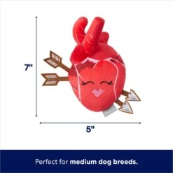 Frisco Valentine Anatomical Heart Plush Squeaky Dog Toy 7 Frisco Valentine Anatomical Heart Plush Squeaky Dog Toy -Chewy 298933 PT1. AC SS1800 V1701365188
