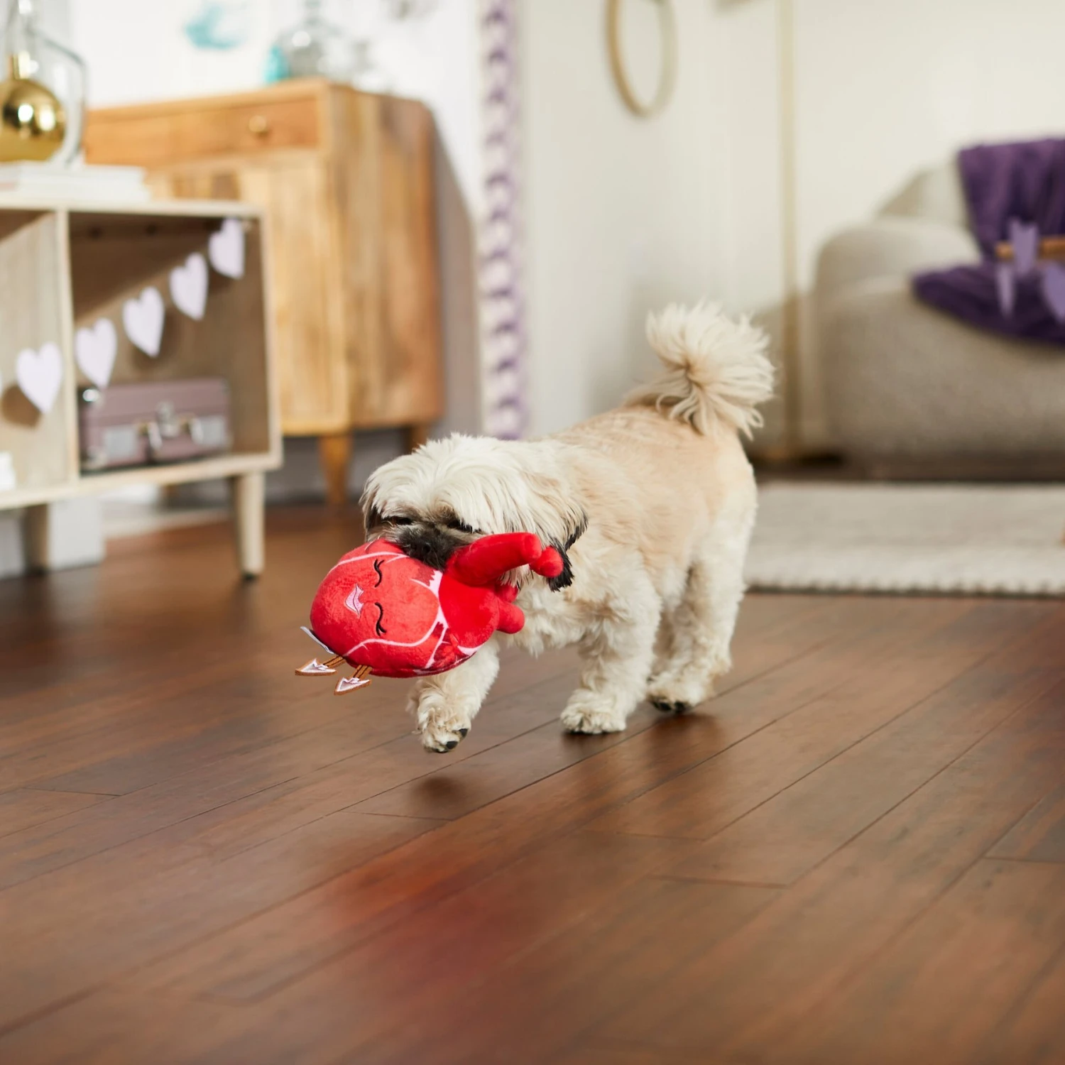 Frisco Valentine Anatomical Heart Plush Squeaky Dog Toy 5 Frisco Valentine Anatomical Heart Plush Squeaky Dog Toy - Image 3