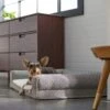 Frisco Boho Modern Couch Dog & Cat Bed 1 Frisco Boho Modern Couch Dog & Cat Bed -Chewy 299392 MAIN. AC SS1800 V1638288742