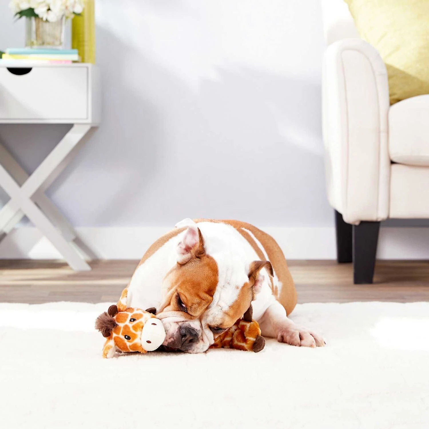 Frisco Giraffe Bungee Plush Squeaky Dog Toy & Frisco Sloth Bungee Plush Squeaky Dog Toy 7 Frisco Giraffe Bungee Plush Squeaky Dog Toy & Frisco Sloth Bungee Plush Squeaky Dog Toy - Image 5