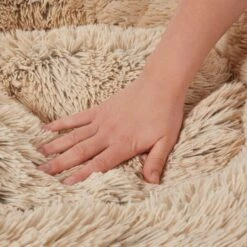 Frisco Eyelash Cat & Dog Bolster Bed & Frisco Eyelash Cat & Dog Bolster Bed 14 Frisco Eyelash Cat & Dog Bolster Bed & Frisco Eyelash Cat & Dog Bolster Bed -Chewy 302450 PT3. AC SS1800 V1623081755