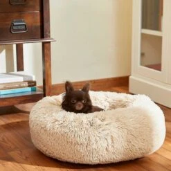 Frisco Eyelash Cat & Dog Bolster Bed & Frisco Eyelash Cat & Dog Bolster Bed 15 Frisco Eyelash Cat & Dog Bolster Bed & Frisco Eyelash Cat & Dog Bolster Bed -Chewy 302450 PT4. AC SS1800 V1623046356