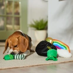 Frisco St. Patrick's Pot Of Gold Hide & Seek Puzzle Plush Squeaky Dog Toy 12 Frisco St. Patrick's Pot Of Gold Hide & Seek Puzzle Plush Squeaky Dog Toy -Chewy 303130 PT4. AC SS1800 V1700163009