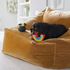 Frisco St. Patrick's Rainbow And Pot Of Gold Latex Squeaky Dog Toy 10 Frisco St. Patrick's Rainbow And Pot Of Gold Latex Squeaky Dog Toy -Chewy 303136 PT4. AC SS1800 V1702500566