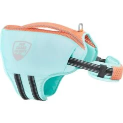 Frisco Active Dog Life Jacket & Frisco Foam Rubber Floating Fetch Ball No Squeak Dog Toy 13 Frisco Active Dog Life Jacket & Frisco Foam Rubber Floating Fetch Ball No Squeak Dog Toy -Chewy 303364 PT2. AC SS1800 V1623163059