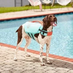 Frisco Active Dog Life Jacket & Frisco Foam Rubber Floating Fetch Ball No Squeak Dog Toy 14 Frisco Active Dog Life Jacket & Frisco Foam Rubber Floating Fetch Ball No Squeak Dog Toy -Chewy 303364 PT3. AC SS1800 V1623163058