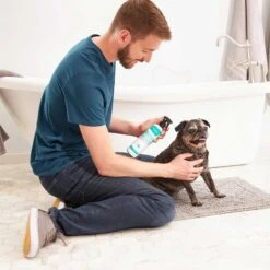 Frisco Aloe Hydrating Dog & Cat Spray, Sweet Nectar Scent & Frisco Oatmeal Dog & Cat Shampoo, Almond Scent 14 Frisco Aloe Hydrating Dog & Cat Spray, Sweet Nectar Scent & Frisco Oatmeal Dog & Cat Shampoo, Almond Scent -Chewy 303372 PT3. AC SS1800 V1623046355