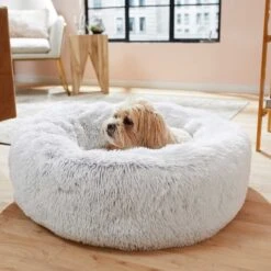 Frisco Eyelash Cat & Dog Bolster Bed & Frisco Eyelash Cat & Dog Blanket -Chewy 303412 PT4. AC SS1800 V1623069146