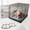Frisco Fold & Carry Double Door Collapsible Wire Dog Crate & Mat Kit & Frisco Stainless Steel Bowl
