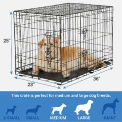 Frisco Fold & Carry Double Door Collapsible Wire Dog Crate & Mat Kit & Frisco Stainless Steel Bowl 12 Frisco Fold & Carry Double Door Collapsible Wire Dog Crate & Mat Kit & Frisco Stainless Steel Bowl -Chewy 303428 PT2. AC SS1800 V1623055045