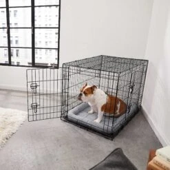 Frisco Fold & Carry Double Door Collapsible Wire Dog Crate & Mat Kit & Frisco Stainless Steel Bowl 14 Frisco Fold & Carry Double Door Collapsible Wire Dog Crate & Mat Kit & Frisco Stainless Steel Bowl -Chewy 303428 PT4. AC SS1800 V1623089543