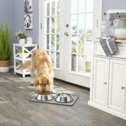 Frisco Fold & Carry Double Door Collapsible Wire Dog Crate & Mat Kit & Frisco Stainless Steel Bowl 17 Frisco Fold & Carry Double Door Collapsible Wire Dog Crate & Mat Kit & Frisco Stainless Steel Bowl -Chewy 303428 PT7. AC SS1800 V1623045760