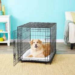 Frisco Fold & Carry Single Door Collapsible Wire Dog Crate & Frisco Premium Extra Large Printed Dog Training & Potty Pads -Chewy 303438 PT4. AC SS1800 V1623088347