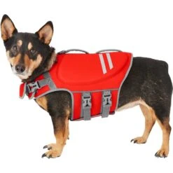 Frisco Neoprene Dog Life Jacket & Frisco Foam Rubber Floating Fetch Ball No Squeak Dog Toy 11 Frisco Neoprene Dog Life Jacket & Frisco Foam Rubber Floating Fetch Ball No Squeak Dog Toy -Chewy 303480 PT1. AC SS1800 V1623062848