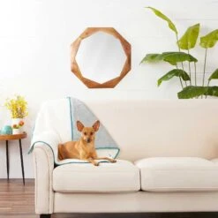 Frisco Sherpa Dog & Cat Blanket & Frisco Sherpa Hexagon Bolster Cat & Dog Bed -Chewy 303598 PT3. AC SS1800 V1623082359