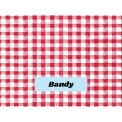 Frisco Personalized Gingham Plaid Soft Fleece Cat & Dog Blanket, 30" X 40" -Chewy 304001 PT4. AC SS1800 V1637609279