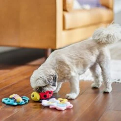 Frisco Spring Pack Plush Squeaky Dog Toy 10 Frisco Spring Pack Plush Squeaky Dog Toy -Chewy 304950 PT4. AC SS1800 V1703184715