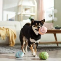 Frisco Easter Eggs Plush Squeaky Dog Toy 12 Frisco Easter Eggs Plush Squeaky Dog Toy -Chewy 304954 PT4. AC SS1800 V1702500565