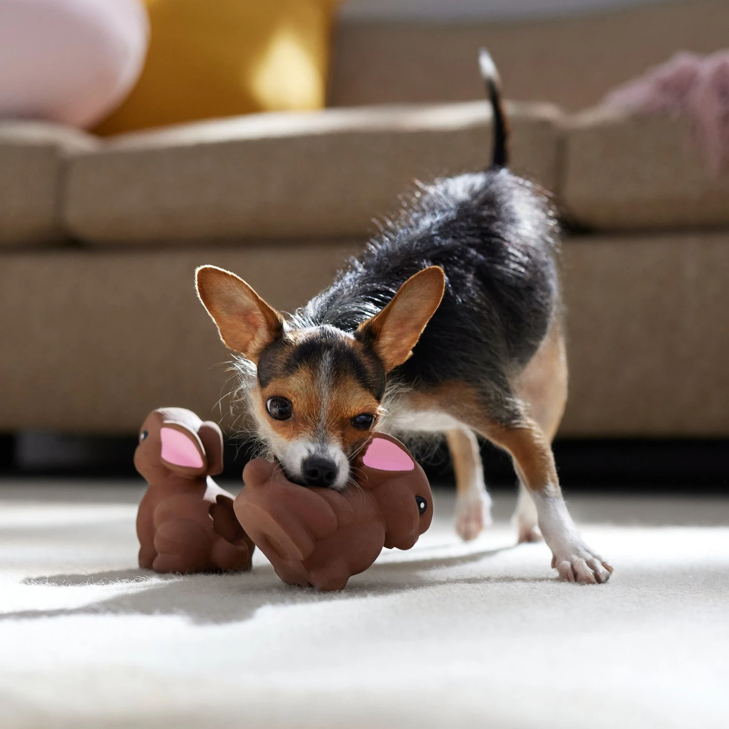 Frisco Easter Chocolate Bunnies Latex Squeaky Dog Toy 5 Frisco Easter Chocolate Bunnies Latex Squeaky Dog Toy - Image 3