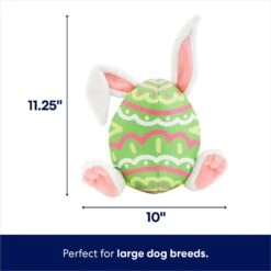 Frisco Easter Bunny Egg Plush Squeaky Dog Toy 8 Frisco Easter Bunny Egg Plush Squeaky Dog Toy -Chewy 304960 PT1. AC SS1800 V1700243717